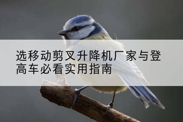 高安电动升降机厂家-选移动剪叉升降机厂家与登高车必看实用指南