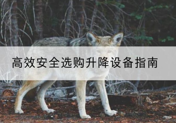 高安升降货梯厂家推荐-*安全选购升降设备指南